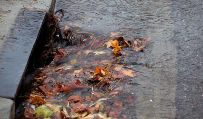 Plumber Safety Beach